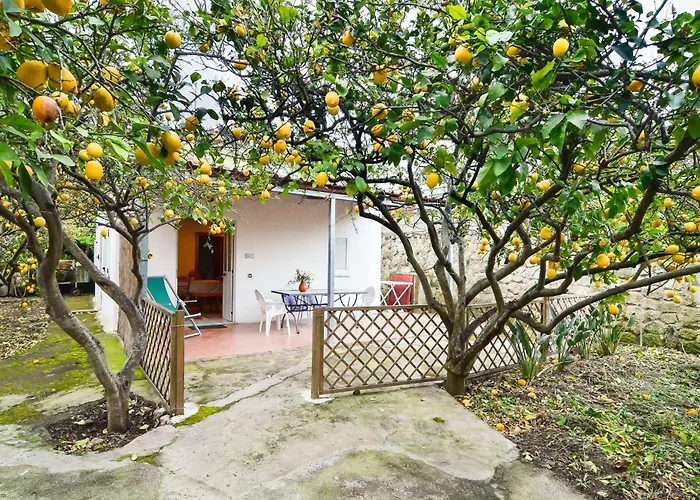 Limoneto Ischia 度假居 *