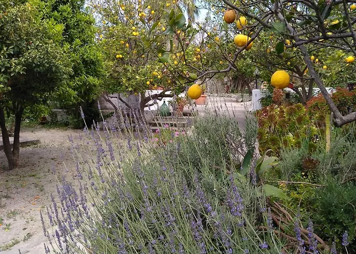 度假居 Limoneto Ischia