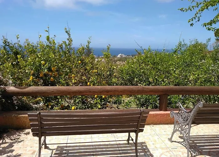 Limoneto Ischia Forio di Ischia