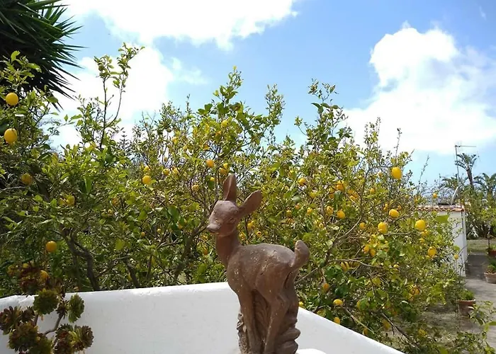 Limoneto Ischia