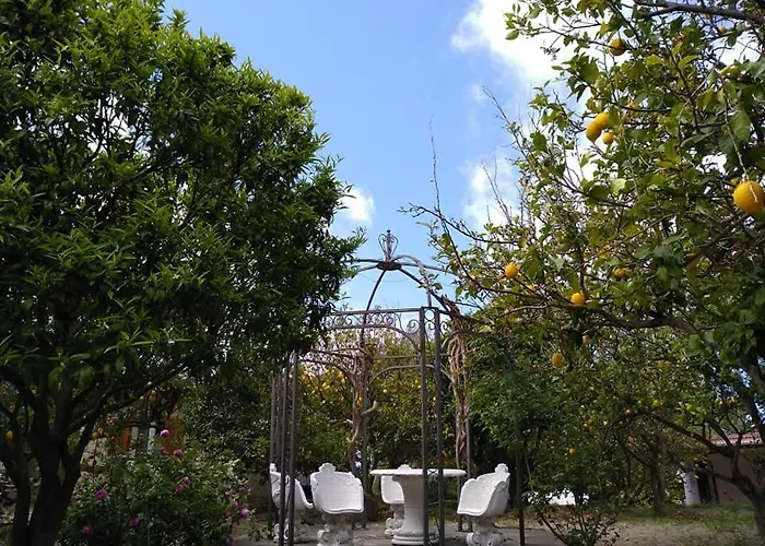 度假居 Limoneto Ischia Forio di Ischia