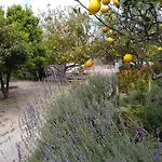 Σπίτι διακοπών Limoneto Ischia