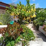 Σπίτι διακοπών Limoneto Ischia Forio di Ischia