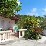 Limoneto Ischia Forio di Ischia