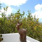 Limoneto Ischia