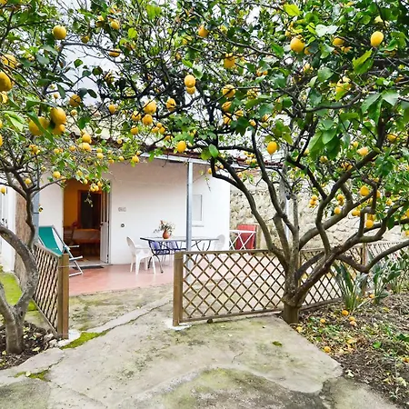 Limoneto Ischia Σπίτι διακοπών *