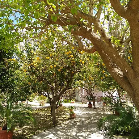 Limoneto Ischia * Forio di Ischia