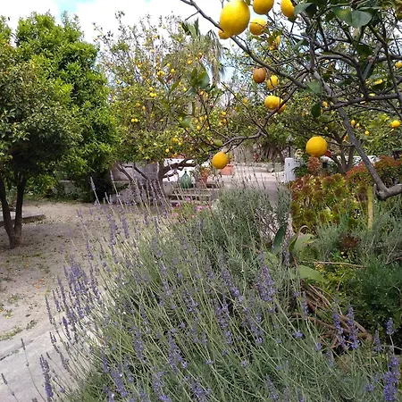 Ferienhaus Limoneto Ischia