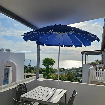 Limoneto Ischia * Forio di Ischia