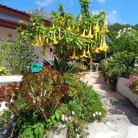 Ferienhaus Limoneto Ischia Forio di Ischia
