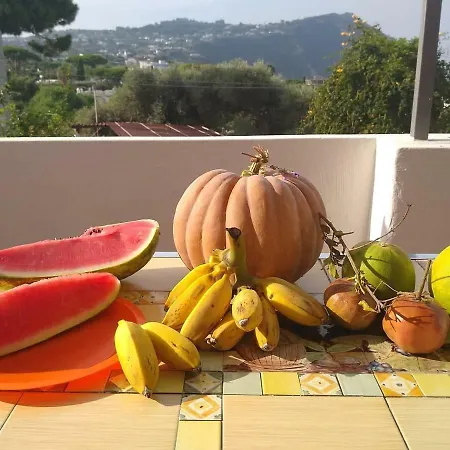 Ferienhaus Limoneto Ischia *