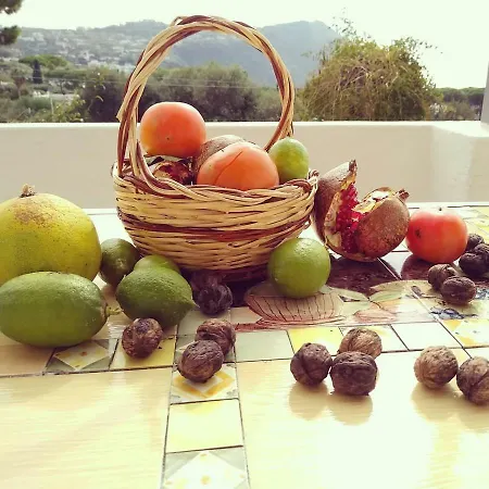Ferienhaus Limoneto Ischia Forio di Ischia