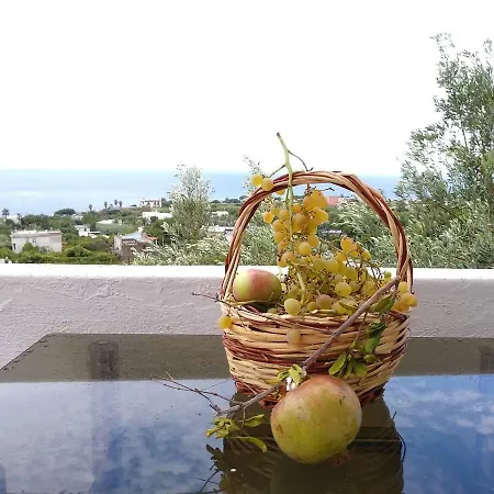 Limoneto Ischia Ferienhaus Forio di Ischia