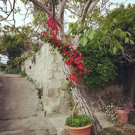 Limoneto Ischia Ferienhaus Forio di Ischia