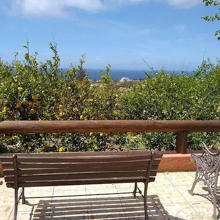 Limoneto Ischia Forio di Ischia