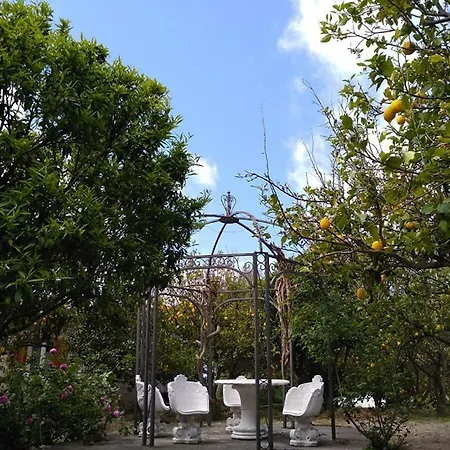 Ferienhaus Limoneto Ischia Forio di Ischia