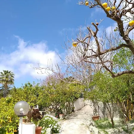 Ferienhaus Limoneto Ischia Forio di Ischia