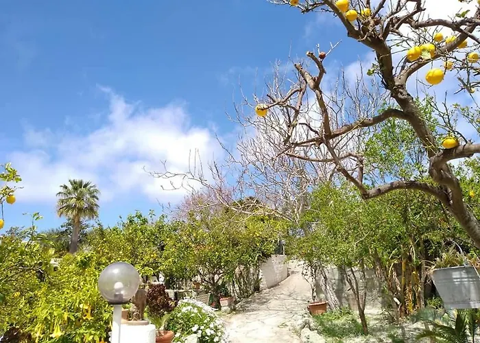 Casa de Férias Limoneto Ischia Forio di Ischia